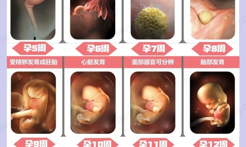 怀孕嘴巴一圈长痘痘-孕妇嘴巴周围长痘的原因网孕妇嘴巴特别臭怎么办知识网站,分享怀孕嘴巴一圈长痘痘大全
