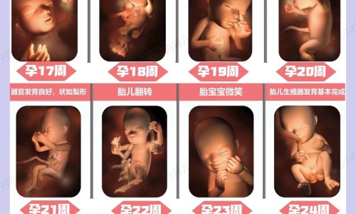 怀孕嘴巴一圈长痘痘-孕妇嘴巴周围长痘的原因网孕妇嘴巴特别臭怎么办知识网站,分享怀孕嘴巴一圈长痘痘大全