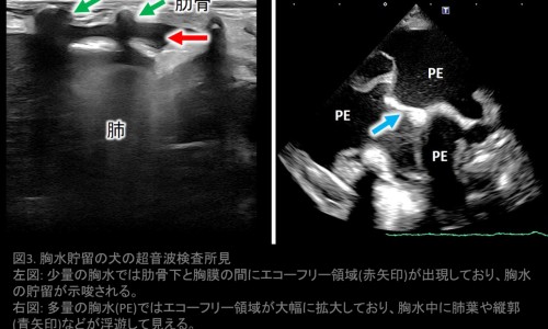 孕妇嘴巴周围长痘的原因图片-孕妇嘴巴周围长痘的原因网孕妇嘴巴特别臭怎么办知识网站,分享怀孕嘴巴一圈长痘痘大全